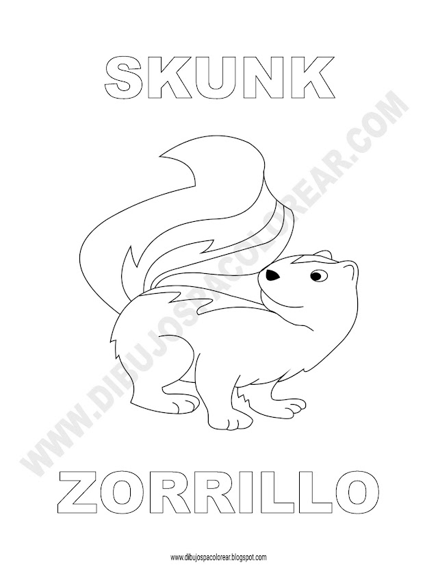 Dibujos Inglés - Español con Z: Zorrillo - Skunk