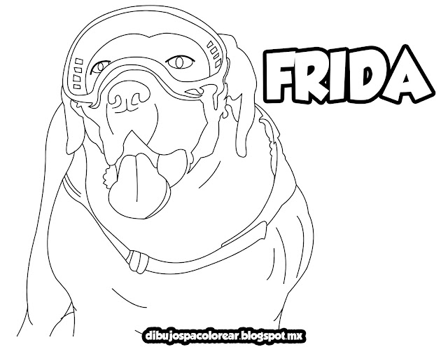 Frida Rescatista de la Marina