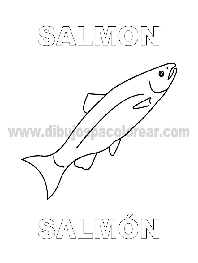Dibujos Inglés - Español con S: Salmon - Salmon