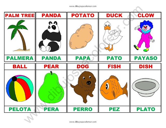 Memorama a color Español - Ingles de la letra P