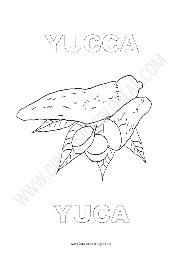 Dibujos Inglés - Español con Y: Yuca - Yucca