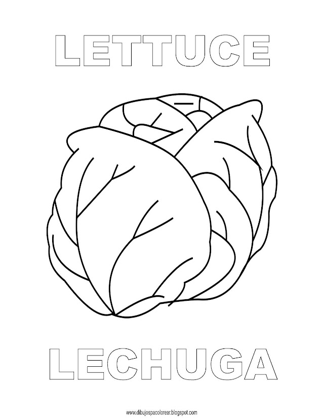Dibujos Inglés - Español con L: Lechuga - Lettuce