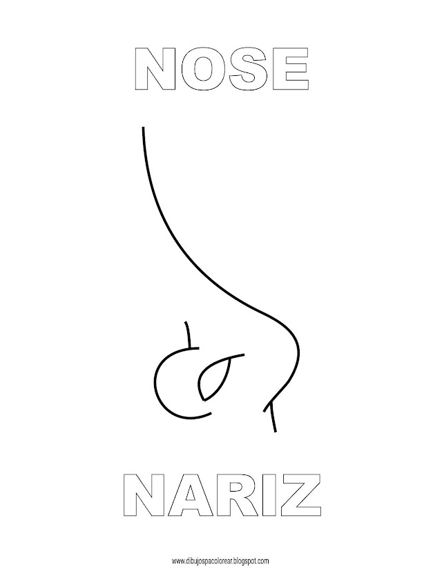 Dibujos Inglés - Español con N: Nariz - Nose