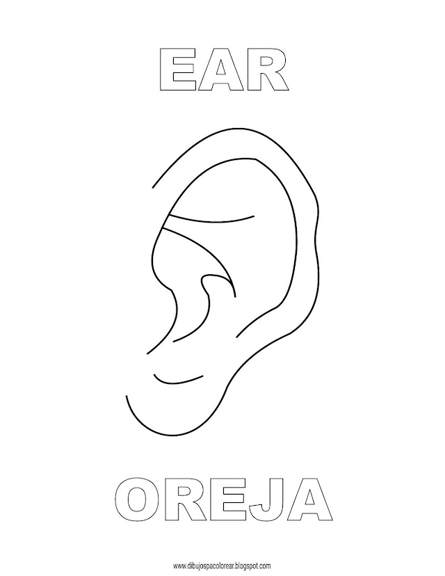 Dibujos Inglés - Español con O: Oreja - Ear