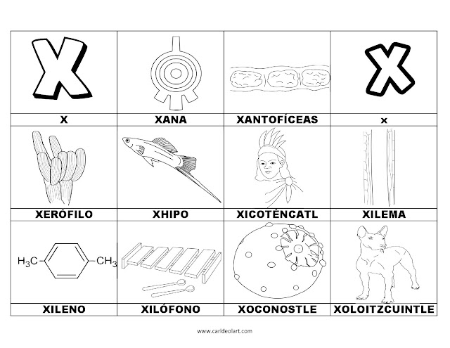 Dibujos para colorear: Palabras con X