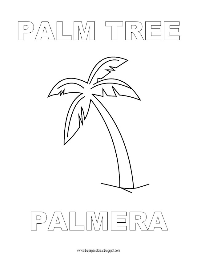 Dibujos Inglés - Español con P: Palm Tree - Palmera