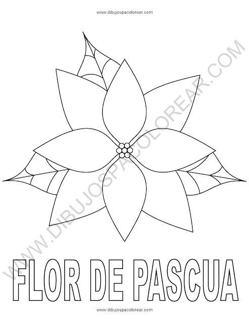 Flor de Pascua