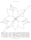 Dibujo para colorear de flor de nochebuena, flor de pascua, estrella federal, Euphorbia Pulcherrima, Pastora, Poinsetia