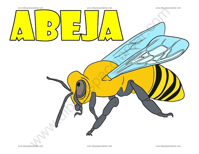 Abeja Dibujo animado