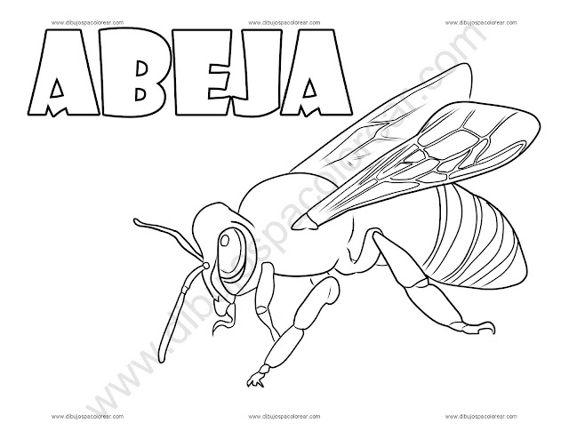 Abeja Dibujo para colorear