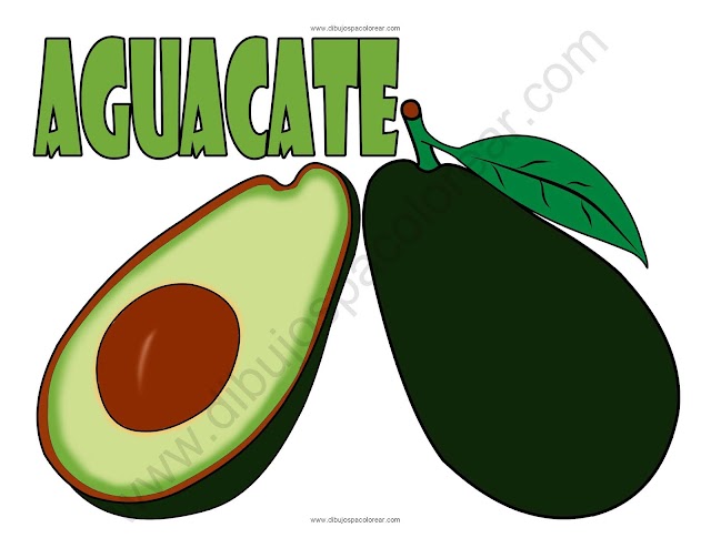 Aguacate Dibujo animado