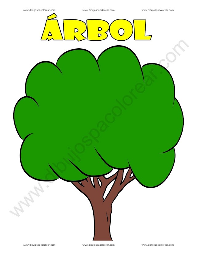 Árbol Dibujo animado