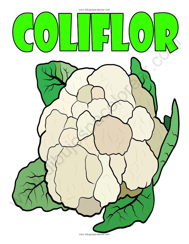 Coliflor dibujo a color y para colorear