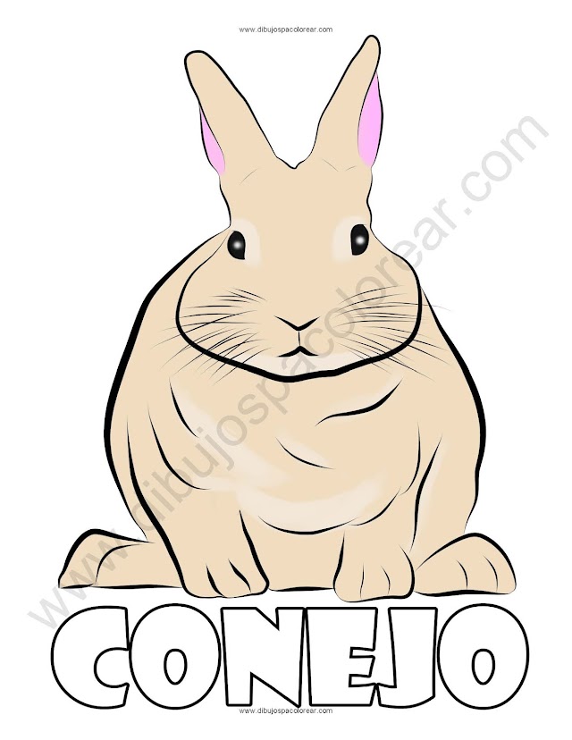 Dibujo de un conejo a color o para colorear