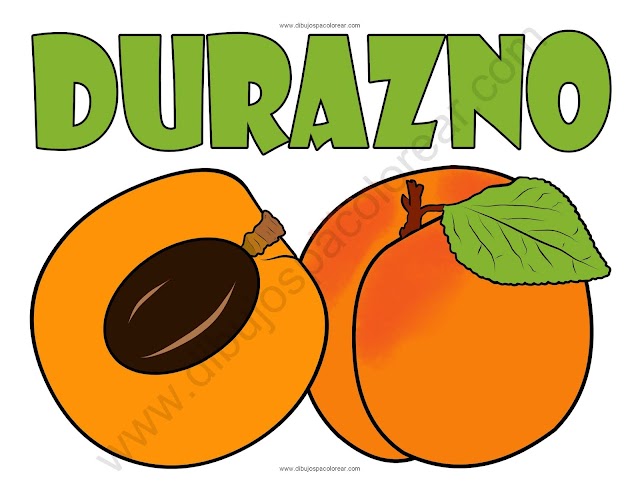 Durazno dibujo a color y para colorear