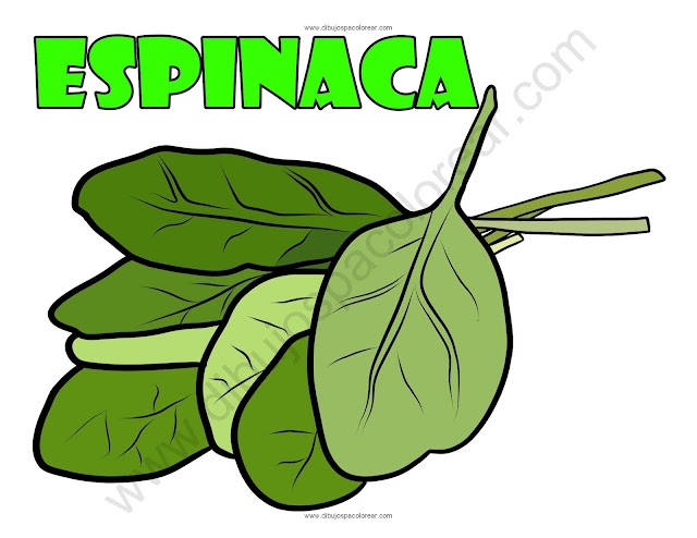 Espinaca dibujo a color y para colorear