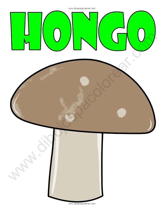 Hongo dibujo a color y para colorear