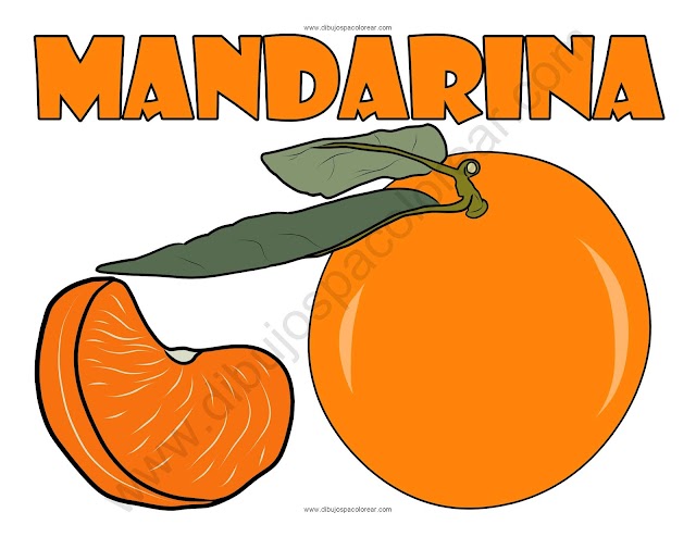 Mandarina dibujo a color y para colorear