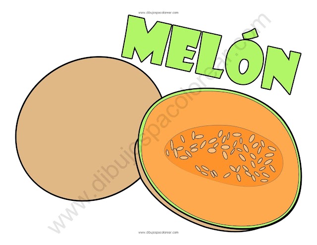 Melón dibujo a color y para colorear