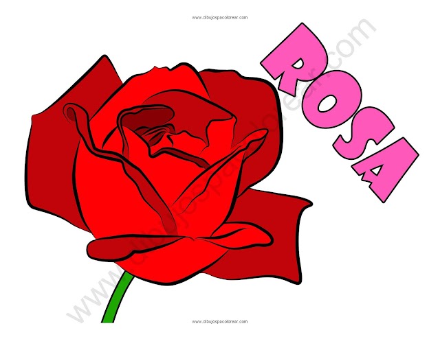 Rosa dibujo a color y para colorear