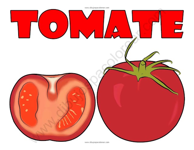 Tomate dibujo a color y para colorear