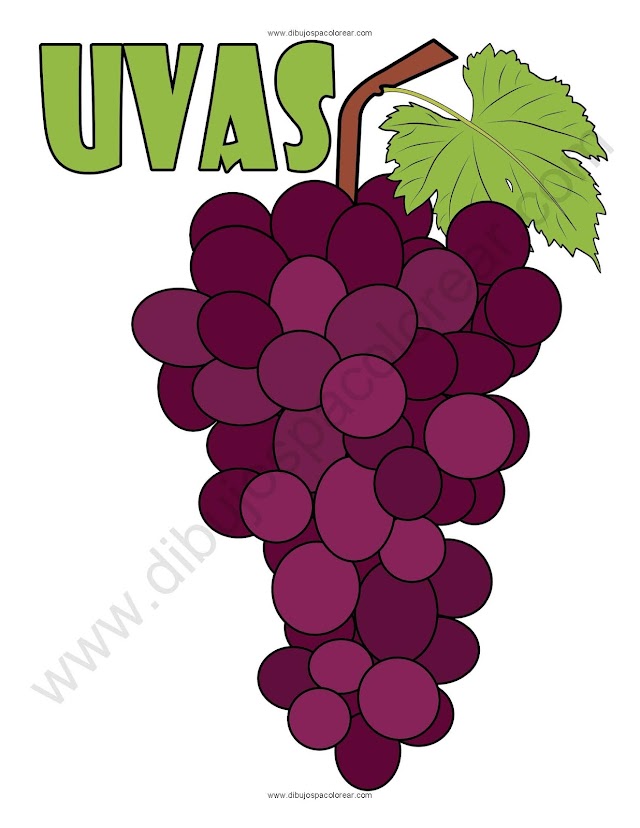 Uvas dibujo a color y para colorear