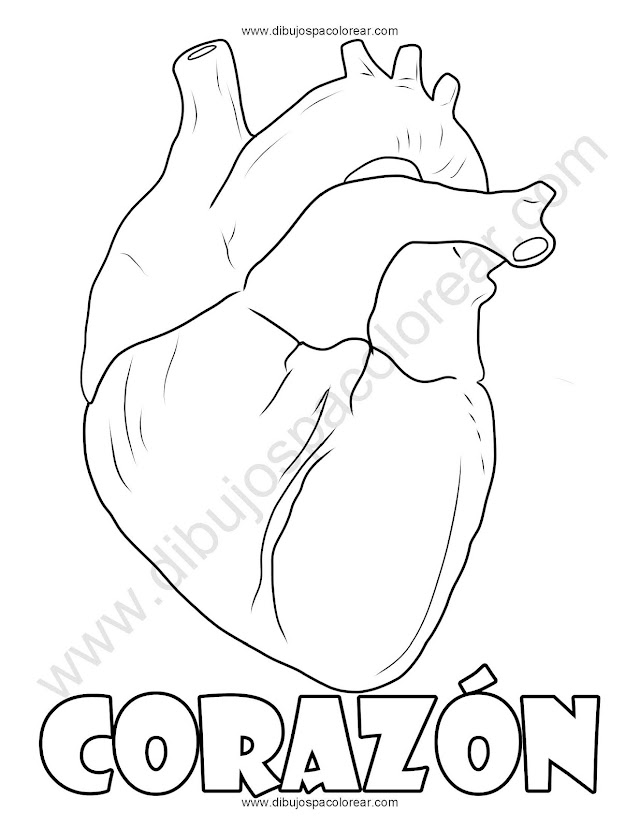 Dibujo de corazón para colorear coloring pages