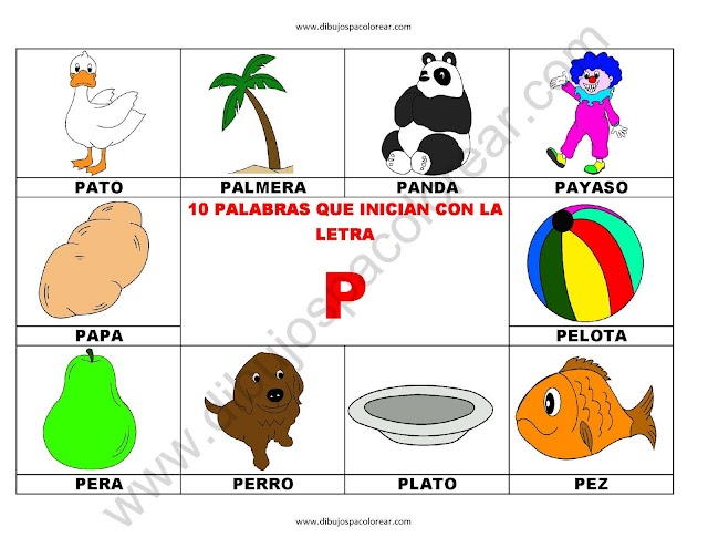 10 palabras u objetos que inician con la letra P